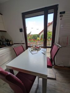 EG Küchenausblick mit Terassenzugang
